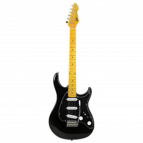 Peavey Raptor Custom BLK